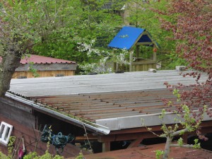 Carportdach eingerahmt von grün