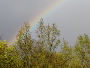 Regenbogen über Grundschule. Leider war nicht der komplette Bogen aufs Foto zu bekommen...